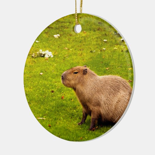 Capybara Keramisch Ornament (Links)