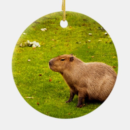 Capybara Keramisch Ornament (Achterkant)