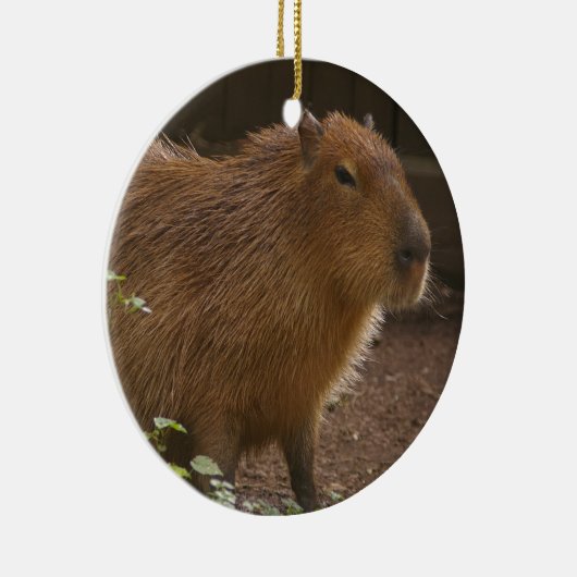 Capybara Keramisch Ornament (Rechts)