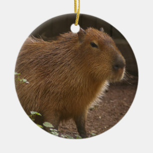 Capybara Keramisch Ornament