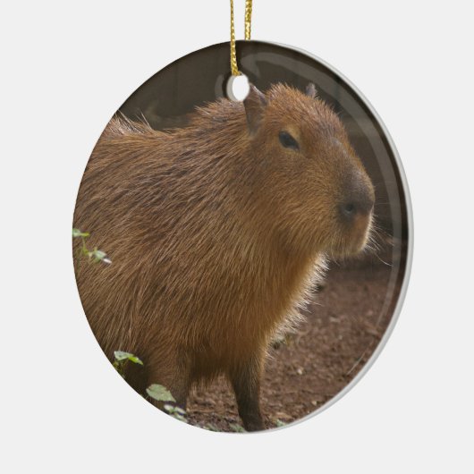 Capybara Keramisch Ornament (Links)
