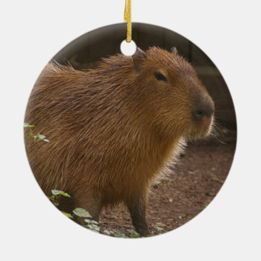 Capybara Keramisch Ornament (Achterkant)