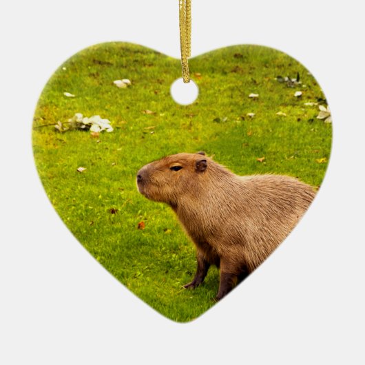 Capybara Keramisch Ornament (Voorkant)