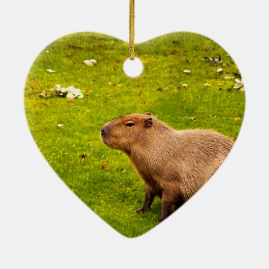 Capybara Keramisch Ornament (Achterkant)