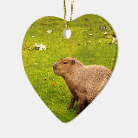 Capybara Keramisch Ornament (Links)