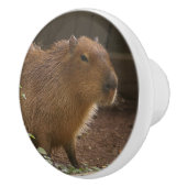 Capybara Keramische Knop (Rechts)