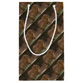 Capybara Klein Cadeauzakje (Achterkant)