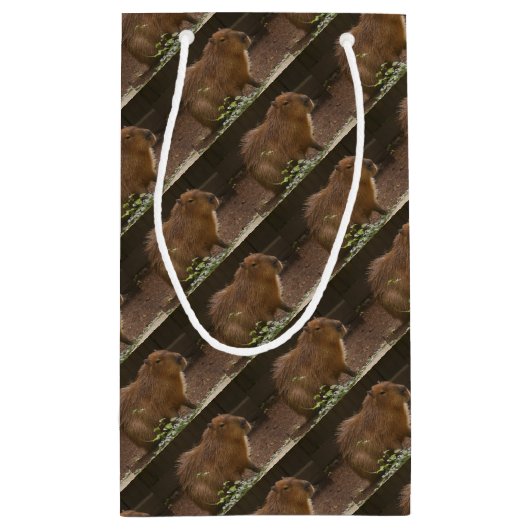 Capybara Klein Cadeauzakje (Achterkant)
