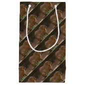 Capybara Klein Cadeauzakje (Voorkant)