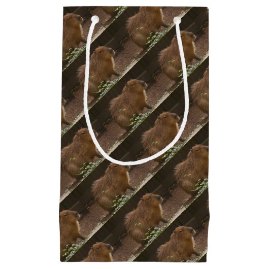 Capybara Klein Cadeauzakje (Voorkant)