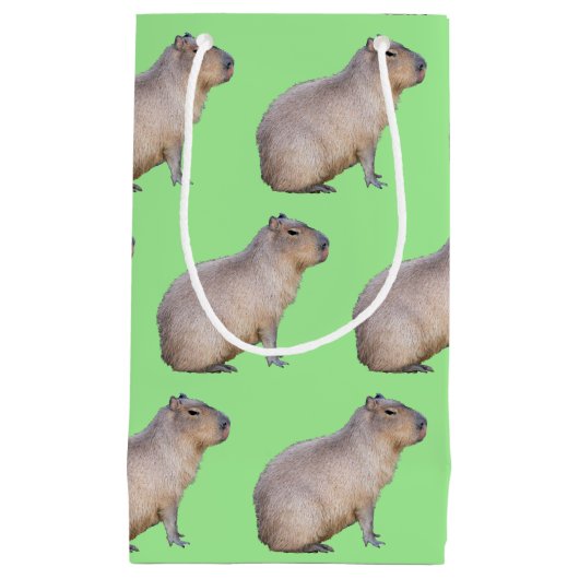 Capybara Klein Cadeauzakje (Voorkant)