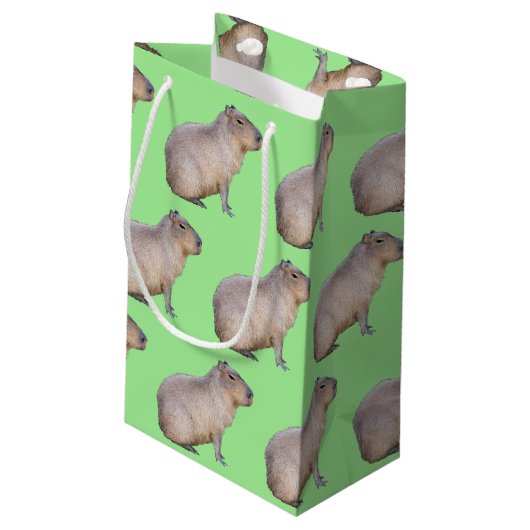 Capybara Klein Cadeauzakje (Achterkant Gekanteld)