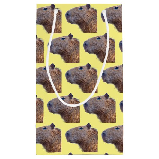 Capybara Klein Cadeauzakje (Achterkant)