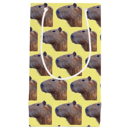 Capybara Klein Cadeauzakje (Voorkant)