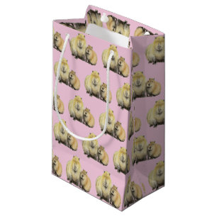 Capybara Klein Cadeauzakje
