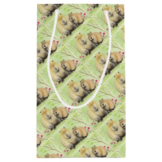Capybara Klein Cadeauzakje (Achterkant)