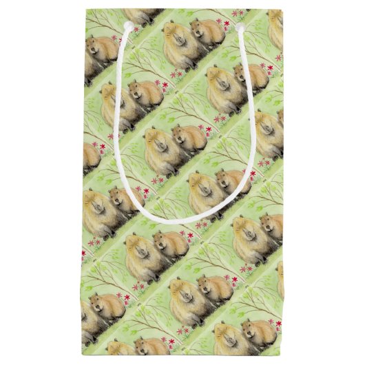 Capybara Klein Cadeauzakje (Voorkant)