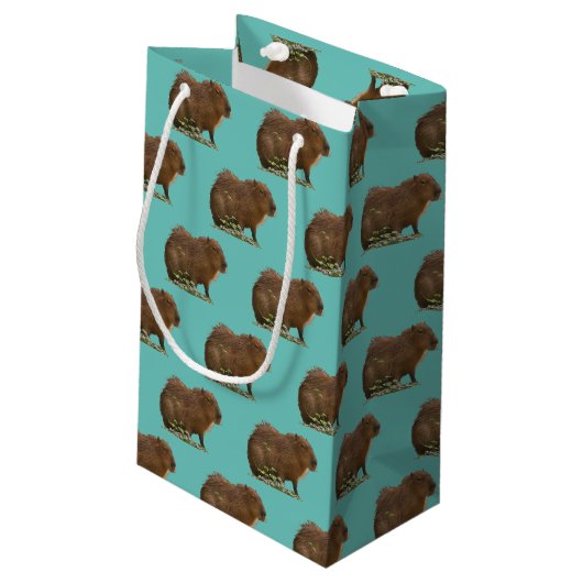 Capybara Klein Cadeauzakje (Achterkant Gekanteld)