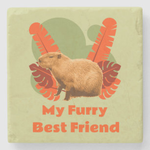 Capybara Knuffel Beste Vriend Tropisch Dier Stenen Onderzetter
