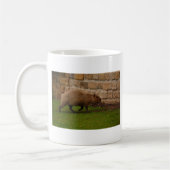 capybara koffiemok (Links)