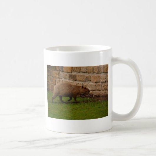 capybara koffiemok (Rechts)