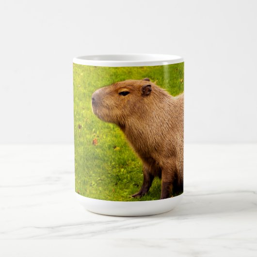 Capybara Koffiemok (Center)