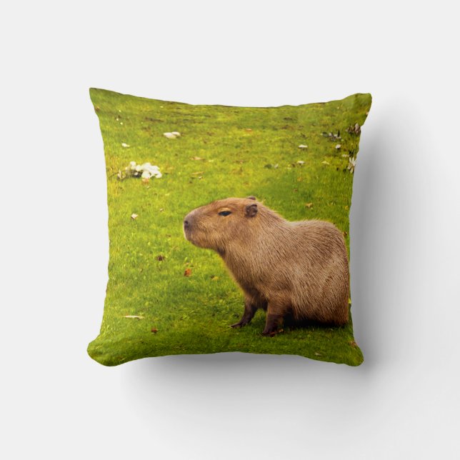 Capybara Kussen (Voorkant)