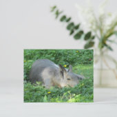 Capybara - Large Rodent Briefkaart (Staand voorkant)