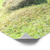 Capybara - Large Rodent Poster (Hoek)