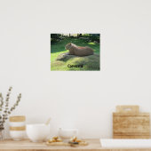Capybara - Large Rodent Poster (Keuken)