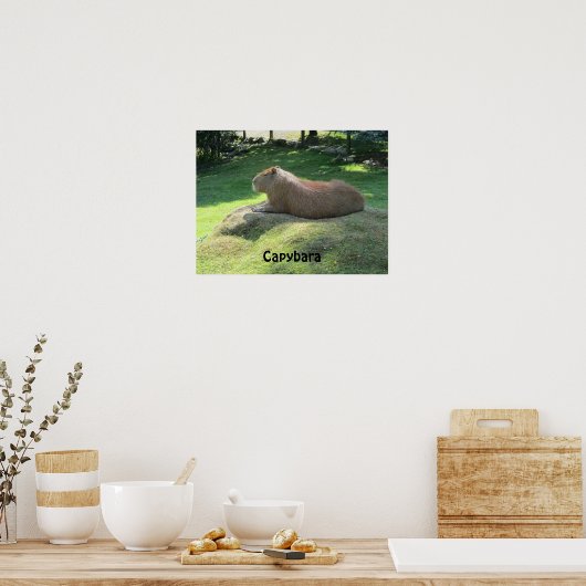 Capybara - Large Rodent Poster (Keuken)