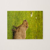 Capybara Legpuzzel (Horizontaal)