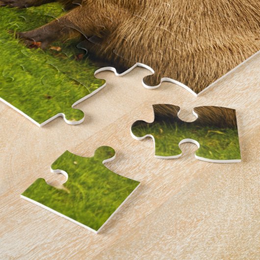 Capybara Legpuzzel (Zijkant)