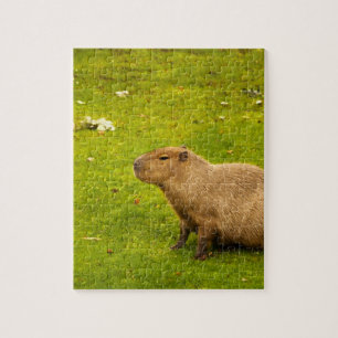 Capybara Legpuzzel