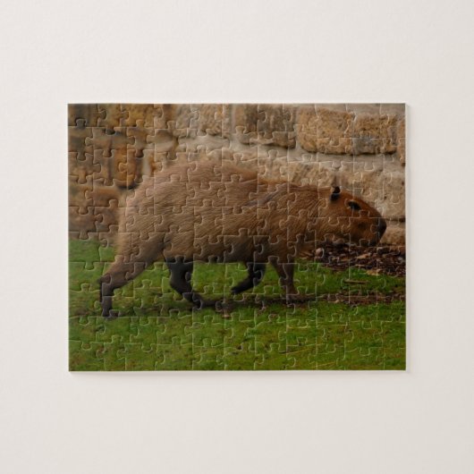 capybara legpuzzel (Horizontaal)