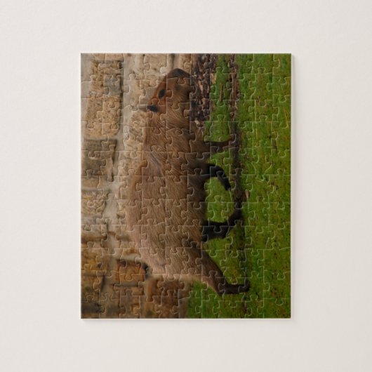 capybara legpuzzel (Verticaal)
