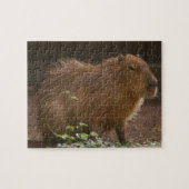 Capybara Legpuzzel (Horizontaal)