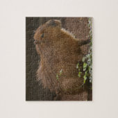 Capybara Legpuzzel (Verticaal)