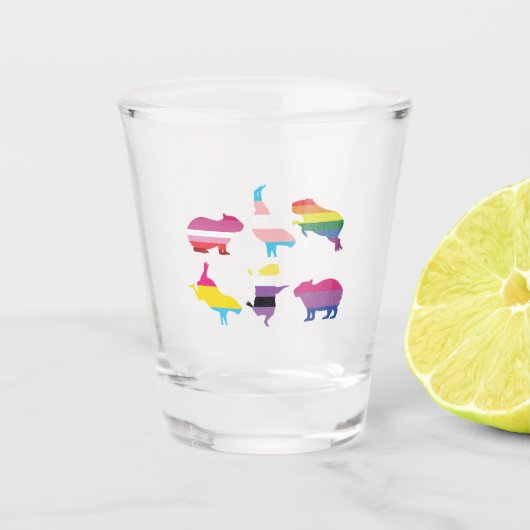 Capybara LGBTQ Regenboog Water Varken Transgender Shot Glas (Voorkant)