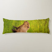 Capybara Lichaamskussen (Voorkant)