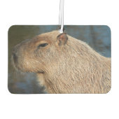 Capybara Luchtverfrisser (Achterkant)