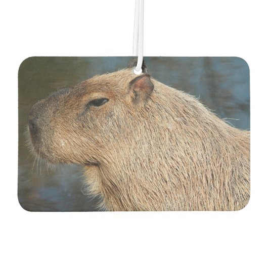 Capybara Luchtverfrisser (Achterkant)
