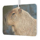 Capybara Luchtverfrisser (Links)