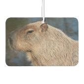 Capybara Luchtverfrisser (Voorkant)