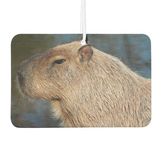 Capybara Luchtverfrisser (Voorkant)