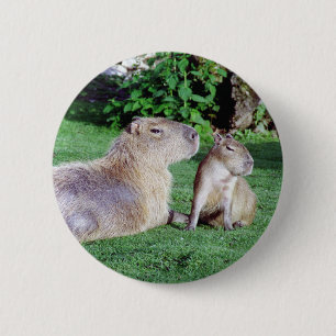 Capybara Ma en Son Button
