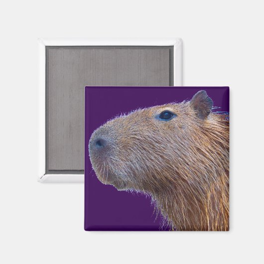 Capybara Magneet (Voorkant / Achterkant)