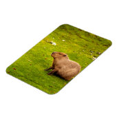 Capybara Magneet (Linkerzijde)