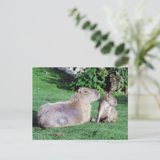 Capybara Mam en Son Briefkaart (Staand voorkant)