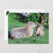 Capybara Mam en Son Briefkaart (Voorkant / Achterkant)